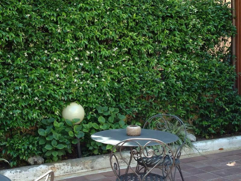 Select Garden Rom